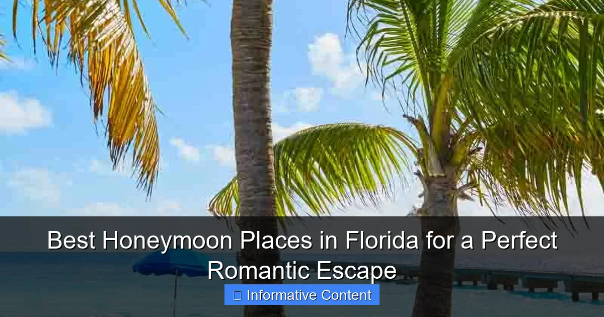 Best Honeymoon Places in Florida for a Perfect Romantic Escape